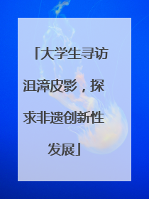 大学生寻访沮漳皮影，探求非遗创新性发展