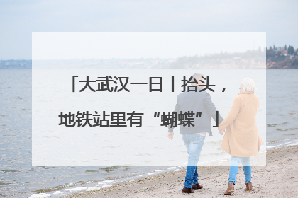 大武汉一日丨抬头，地铁站里有“蝴蝶”