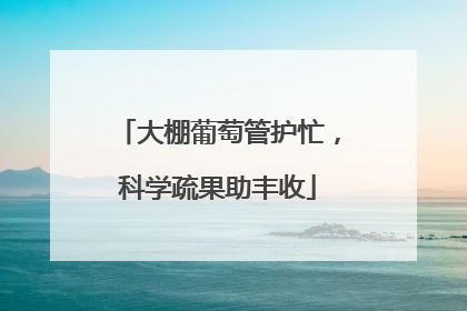 大棚葡萄管护忙，科学疏果助丰收