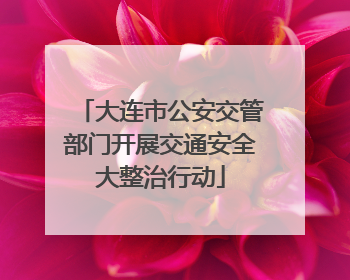 大连市公安交管部门开展交通安全大整治行动