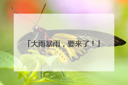 大雨暴雨，要来了！