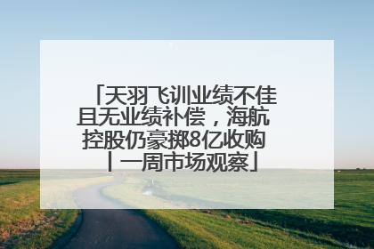 天羽飞训业绩不佳且无业绩补偿，海航控股仍豪掷8亿收购丨一周市场观察