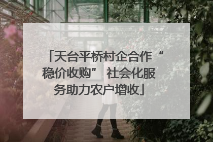 天台平桥村企合作“稳价收购” 社会化服务助力农户增收
