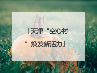 天津“空心村”焕发新活力