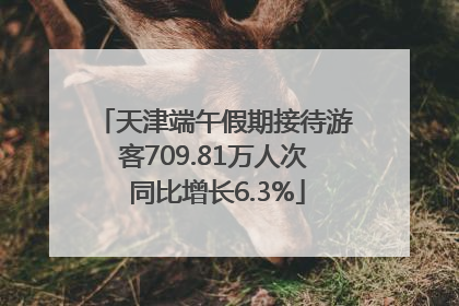 天津端午假期接待游客709.81万人次 同比增长6.3%