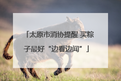 太原市消协提醒 买粽子最好“边看边闻”