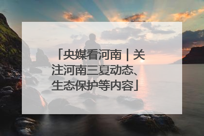 央媒看河南｜关注河南三夏动态、生态保护等内容