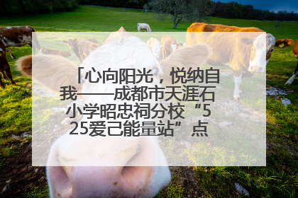 心向阳光，悦纳自我——成都市天涯石小学昭忠祠分校“525爱己能量站”点亮孩子心灵之旅