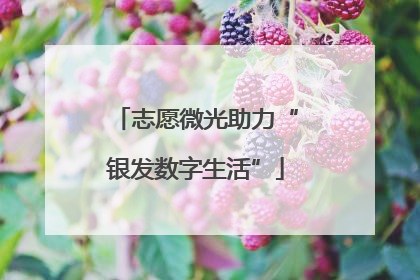 志愿微光助力“银发数字生活”