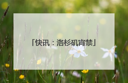 快讯：洛杉矶宵禁