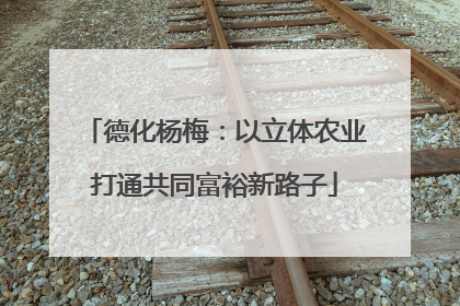 德化杨梅：以立体农业打通共同富裕新路子