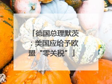 德国总理默茨：美国应给予欧盟“零关税”