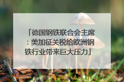 德国钢铁联合会主席：美加征关税给欧洲钢铁行业带来巨大压力