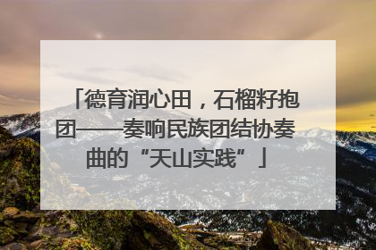 德育润心田，石榴籽抱团——奏响民族团结协奏曲的“天山实践”
