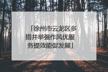 徐州市云龙区多措并举强作风优服务提效能促发展