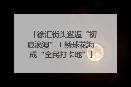 徐汇街头邂逅“初夏浪漫”！绣球花海成“全民打卡地”