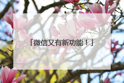 微信又有新功能！