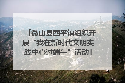 微山县西平镇组织开展“我在新时代文明实践中心过端午”活动