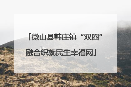 微山县韩庄镇“双圈”融合织就民生幸福网