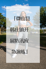 微山县韩庄镇开展防汛应急演练