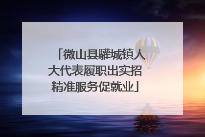 微山县驩城镇人大代表履职出实招精准服务促就业
