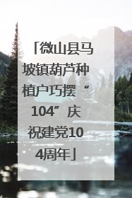 微山县马坡镇葫芦种植户巧摆“104”庆祝建党104周年