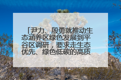 尹力、殷勇就推动生态涵养区绿色发展到平谷区调研，要求走生态优先、绿色低碳的高质量发展之路