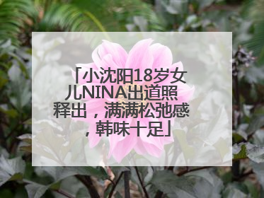 小沈阳18岁女儿NINA出道照释出，满满松弛感，韩味十足