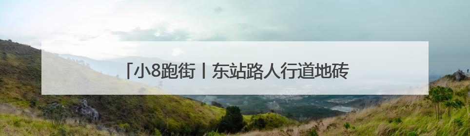 小8跑街丨东站路人行道地砖破损严重 行人通行存隐患