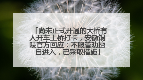 尚未正式开通的大桥有人开车上桥打卡，安徽铜陵官方回应：不服管劝擅自进入，已采取措施