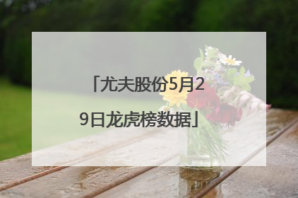 尤夫股份5月29日龙虎榜数据