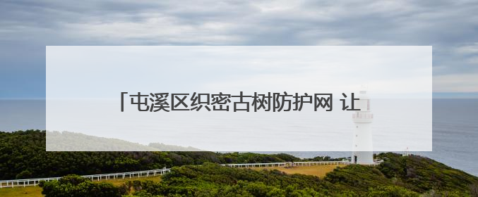屯溪区织密古树防护网 让“绿色文物”焕发新活力
