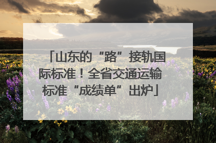山东的“路”接轨国际标准！全省交通运输标准“成绩单”出炉