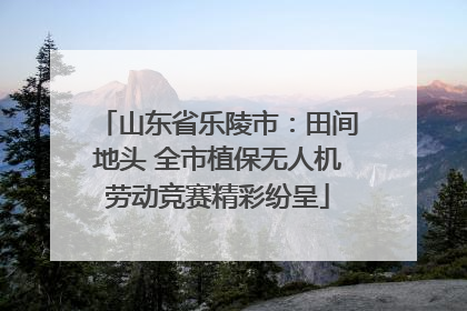 山东省乐陵市：田间地头 全市植保无人机劳动竞赛精彩纷呈