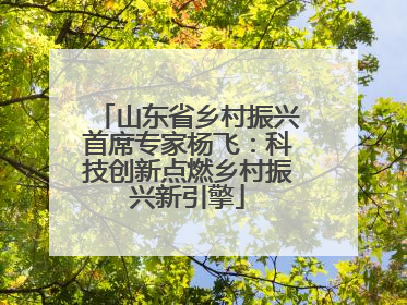 山东省乡村振兴首席专家杨飞：科技创新点燃乡村振兴新引擎