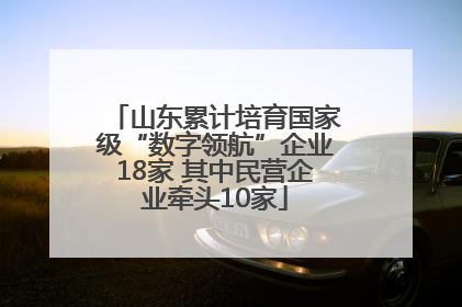 山东累计培育国家级“数字领航”企业18家 其中民营企业牵头10家