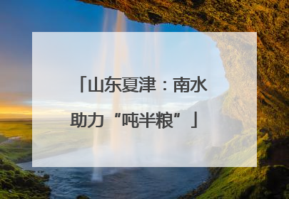 山东夏津：南水助力“吨半粮”