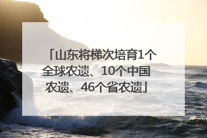 山东将梯次培育1个全球农遗、10个中国农遗、46个省农遗