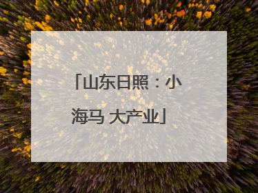 山东日照：小海马 大产业
