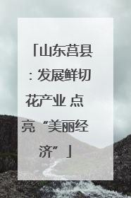 山东莒县：发展鲜切花产业 点亮“美丽经济”
