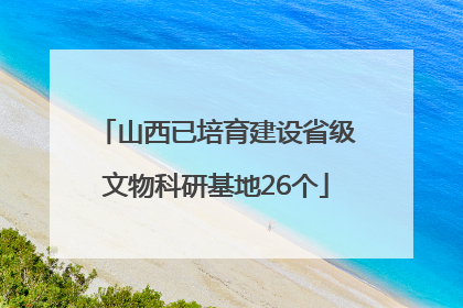 山西已培育建设省级文物科研基地26个