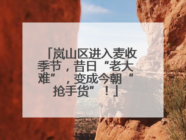 岚山区进入麦收季节，昔日“老大难”，变成今朝“抢手货”！