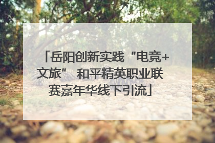岳阳创新实践“电竞+文旅” 和平精英职业联赛嘉年华线下引流
