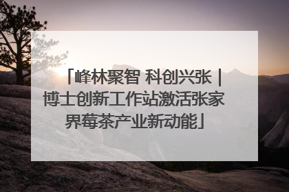 峰林聚智 科创兴张｜博士创新工作站激活张家界莓茶产业新动能