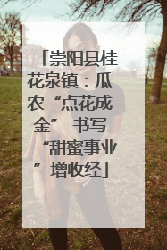崇阳县桂花泉镇：瓜农“点花成金” 书写“甜蜜事业”增收经