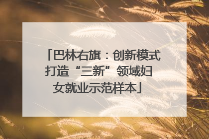 巴林右旗：创新模式 打造“三新”领域妇女就业示范样本