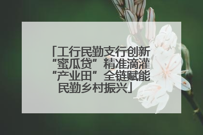 工行民勤支行创新“蜜瓜贷”精准滴灌“产业田”全链赋能民勤乡村振兴