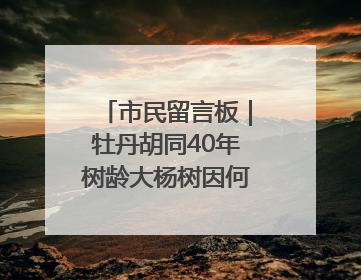 市民留言板｜牡丹胡同40年树龄大杨树因何被扒皮？
