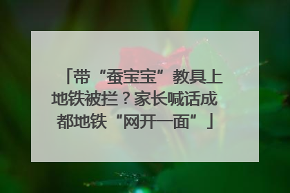 带“蚕宝宝”教具上地铁被拦？家长喊话成都地铁“网开一面”