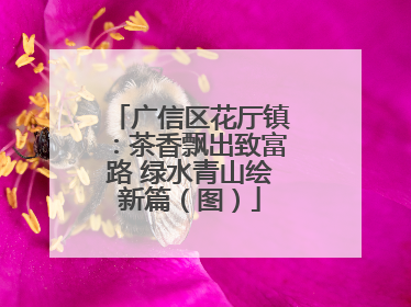广信区花厅镇：茶香飘出致富路 绿水青山绘新篇（图）